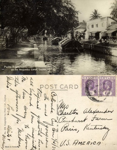 Ceylon padda barche sul - ceylon,,