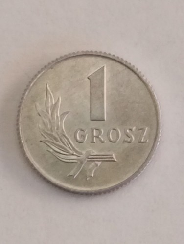Moneta polonia poland polska - polonia,