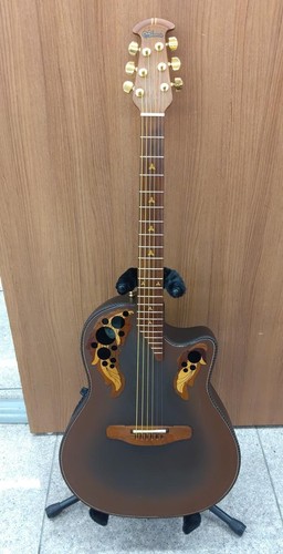 Chitarra elettrica acustica