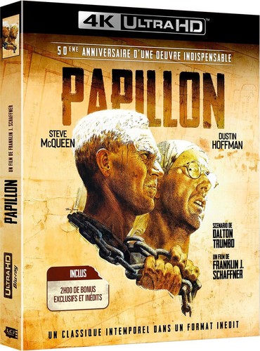 Papillon ultra 50ème - papillon, [4k