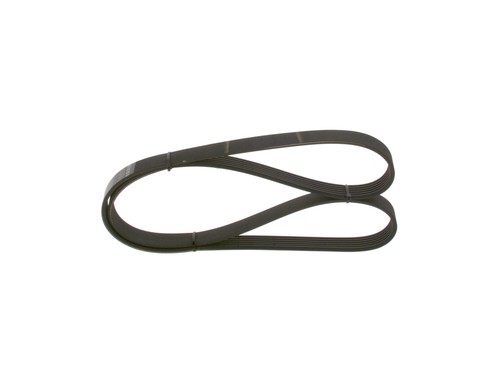 Cinghia poly 987 - cinghia,