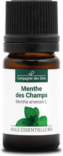 MENTA DEI CAMPI (Mentha