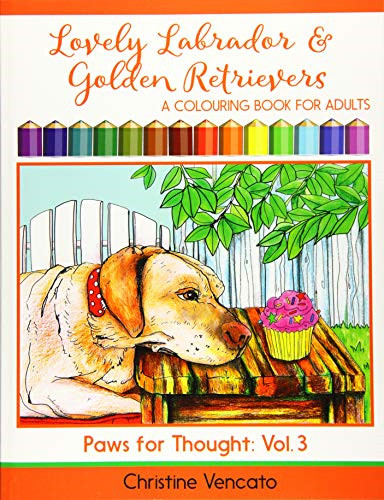 Lovely labrador and golden - lovely,