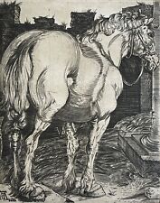 Albrecht Dürer Grande Cavallo
