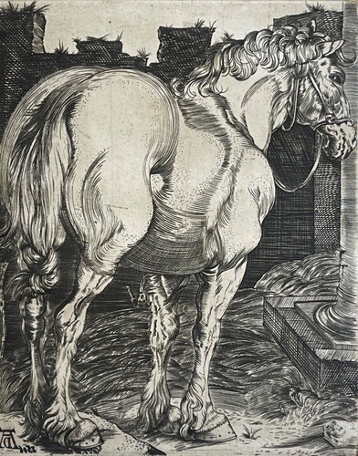 Albrecht dürer grande cavallo - albrecht,