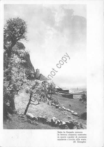 Cartolina postcard poesia - cartolina,