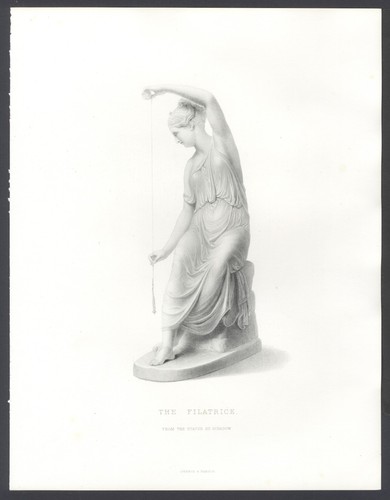 Filatrice schadow - la,