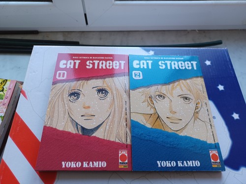 Cat street yoko - street , 2 