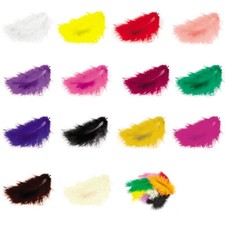 Piume di mare - lunghe circa