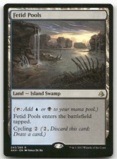 Fetid Pools #243 (LP) Amonkhet