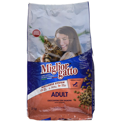 Miglior gatto crocchette - miglior,