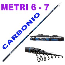  canna bolognese mare