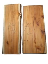 1x Tasso Legno Tasso Legno