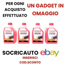 4 Litri Antigelo Liquido