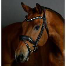 Briglia da dressage imbottita