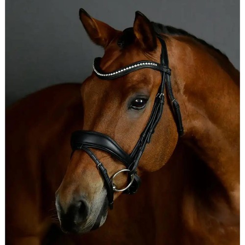 Briglia dressage imbottita - briglia,