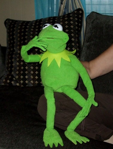 Kermit rana burattino - burattino, a