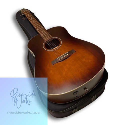 Chitarra acustica seagull - chitarra, s6