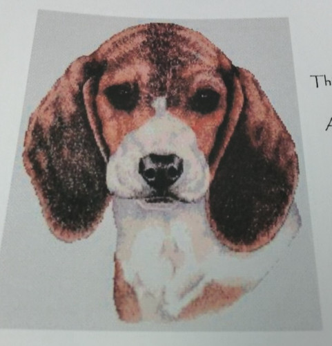 Beagle baby modello - beagle,