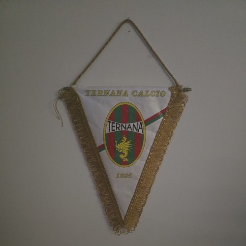 Gagliardetto ternana calcio - gagliardetto,