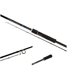 CANNA Shimano Bassterra Sea Bass SPINNING MARE 2 PEZZI SPIGOLA SERRA 