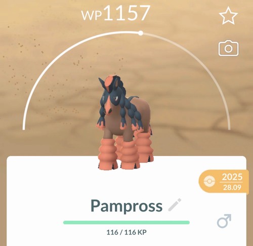 Pokemon pampross 0750 - 🫏pokemon,