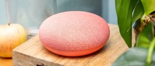 Google Home Mini Altoparlante