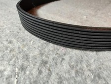 Cinghia di trasmissione bici