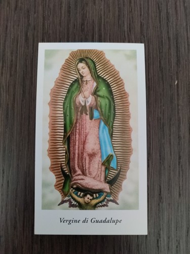 Madonna guadalupe holy - madonna, guadalupe,