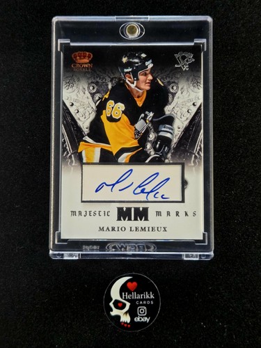 2013 mario lemieux - 2013-14,