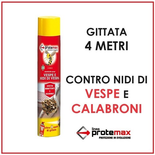 Insetticida vespe calabroni - vespe,