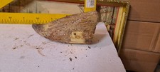 Corno Di Bue Porta Pietra Per