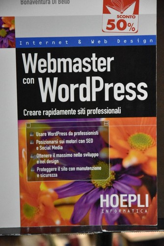 Webmaster con wordpress - , anno