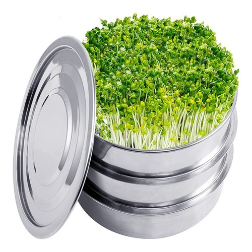 Kit vassoio germinazione - kit,