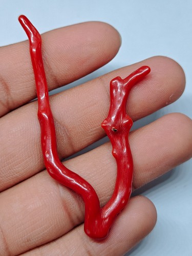 Ramo corallo rosso - di,