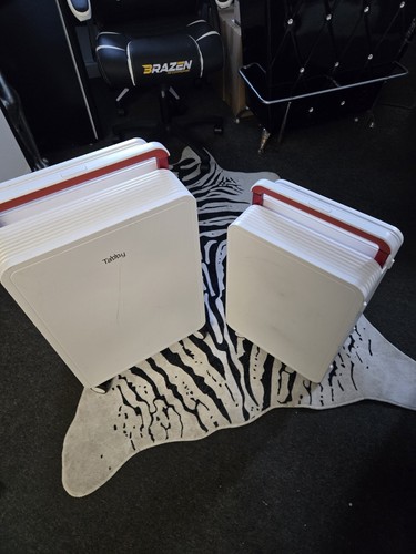 White tabby set due - set,
