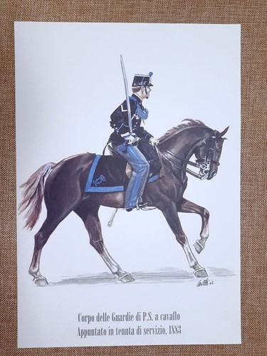 Corpo guardie cavallo - guardie,