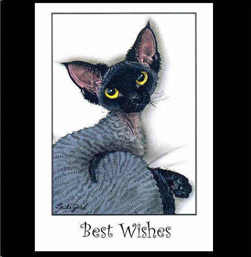 Devon rex cat art greetings - devon,
