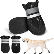 2 Paia Scarpette Cane