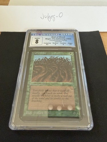 Magic the gathering wall - the,
