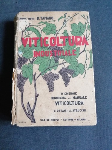Viticoltura industriale - viticoltura,