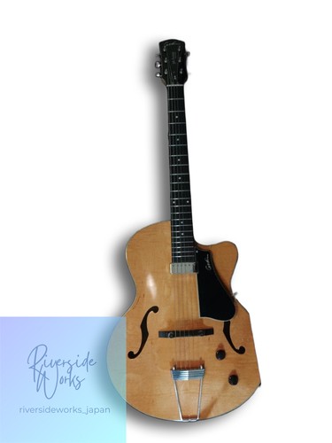 Chitarra acustica completa