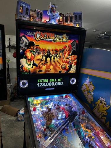 Flipper cgc cactus canyon - cgc,