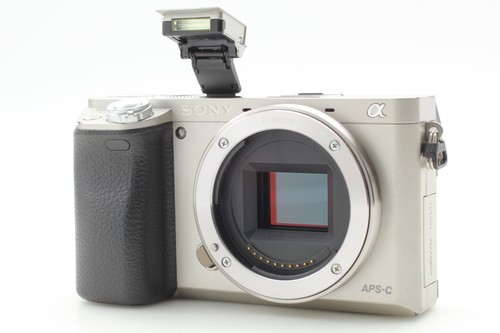 Ecc corpo fotocamera - [ecc+5],