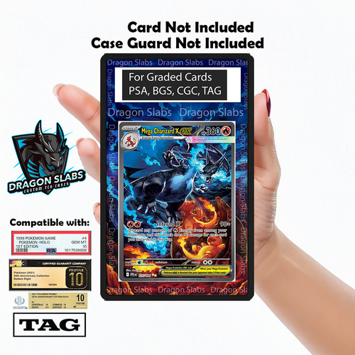 Mega charizard sir - mega,