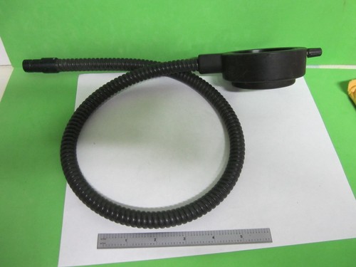 Microscopio parte fibra - fibra, luce