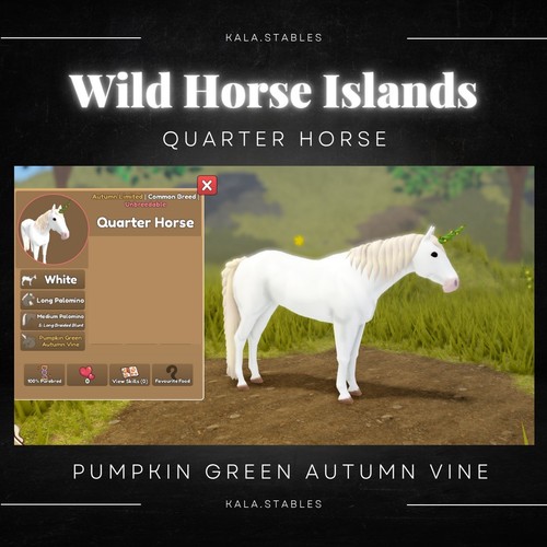 Wild horse islands - horse, quarto