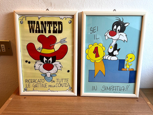 Lotto quadro specchio warner - specchio,