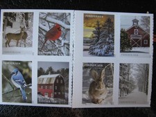 USA 2020 SCENE INVERNALI