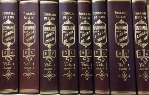 Dizionario della lingua - dizionario,